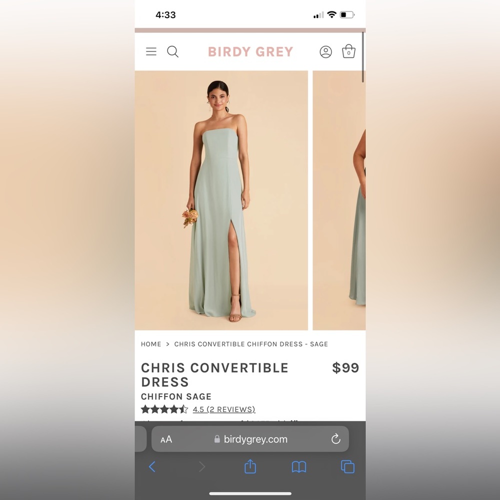 Bridesmaid Dress from Birdy Grey Chris Convertible Chiffon Dress color: Sage